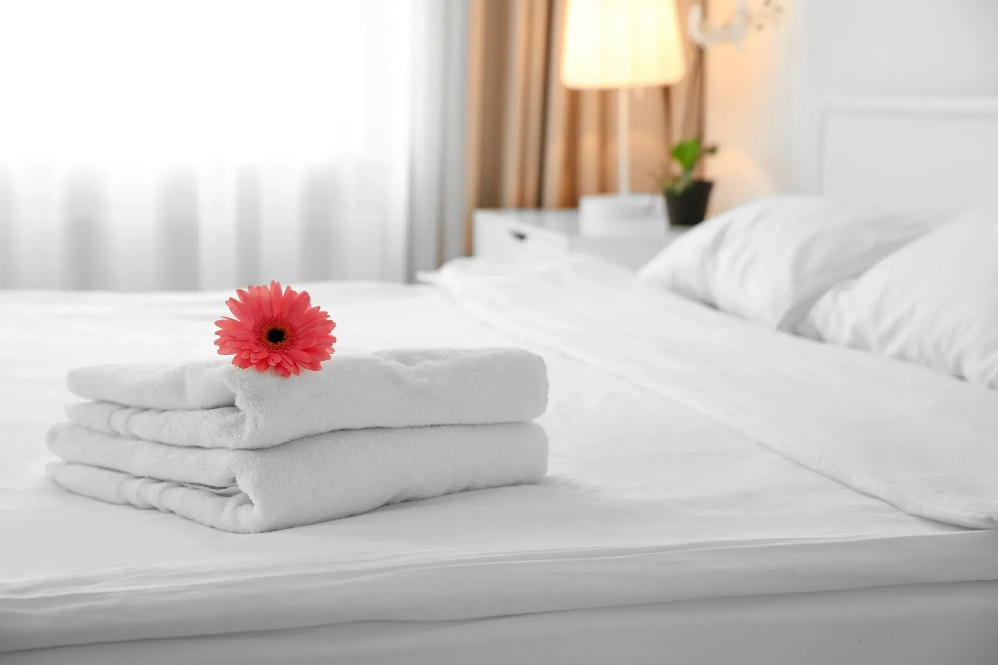 clean comfortable hotel room